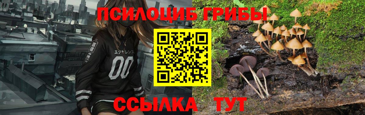Новочебоксарск  Галлюциногенные грибы ЛСД  Вход с VPN 
