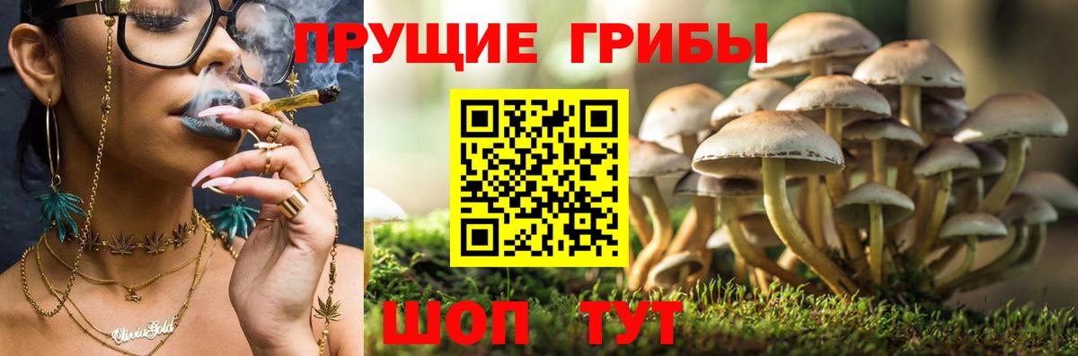Галлюциногенные грибы Magic Shrooms Новочебоксарск